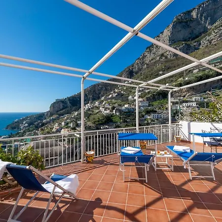 Hibiscus * Amalfi